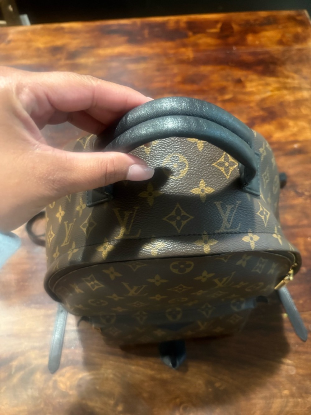 Louis Vuitton Palm Spring Mini Backpack MM - Picture 2 of 14